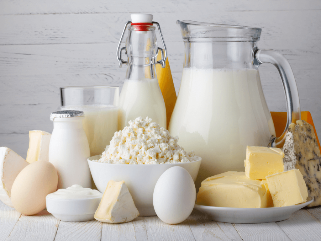 dairy products promote bone health